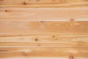Barakula 10x10 Cedar Timber Shed | Stilla - Image 8